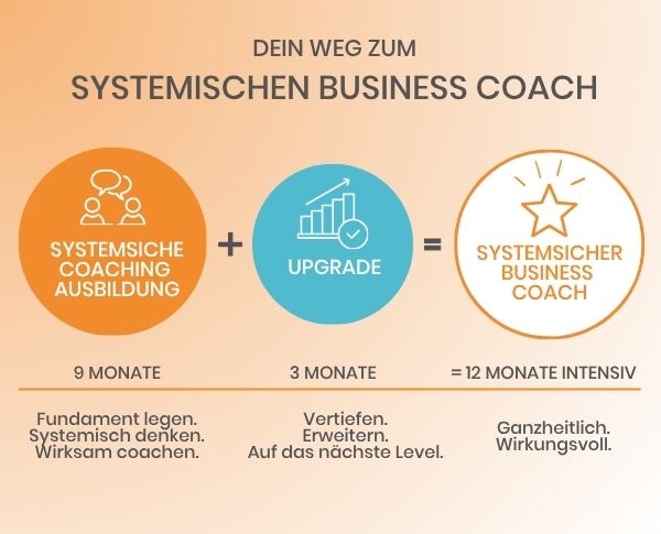 systemischer business coach grafik Infografik zum Weg zum systemischen Business Coach